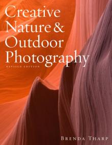 Creative Nature & Outdoor Photography Read online