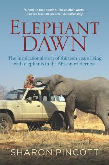 Elephant Dawn Read online