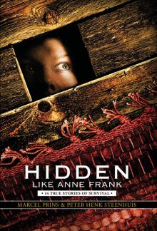 Hidden Like Anne Frank Read online
