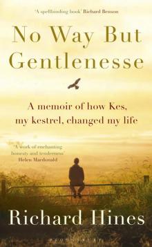 No Way But Gentlenesse Read online