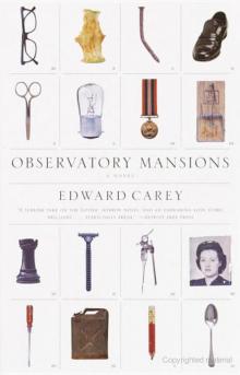 Observatory Mansions Read online