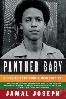 Panther Baby Read online
