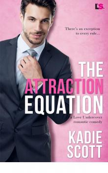 The Attraction Equation (Love Undercover) Read online