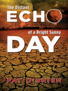 The Distant Echo of a Bright Sunny Day Read online