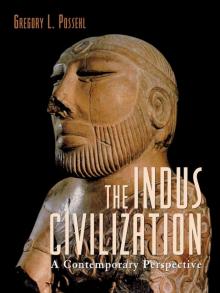 The Indus Civilization Read online