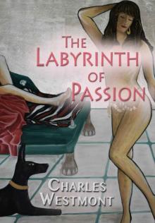 The Labyrinth of Passion (romantic experiences) Read online