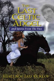The Last Celtic Angel Read online