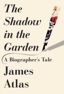 The Shadow in the Garden Read online