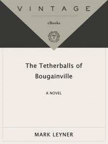 The Tetherballs of Bougainville: A Novel (Vintage Contemporaries) Read online