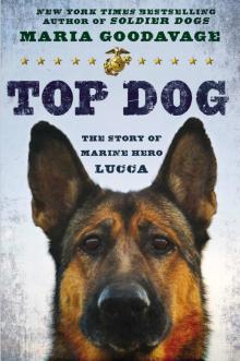Top Dog Read online