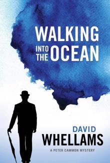 Walking Into the Ocean Read online