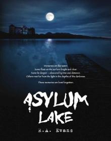 Asylum Lake Read online