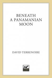 Beneath a Panamanian Moon Read online