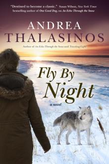 Fly by Night Read online