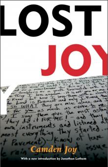 Lost Joy Read online