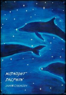 Midnight Dolphin Read online