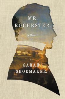 Mr. Rochester Read online