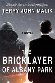 The Bricklayer of Albany Park Read online