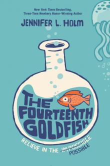 The Fourteenth Goldfish Read online