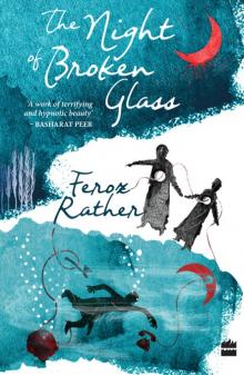 The Night of Broken Glass Read online