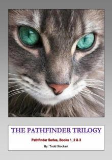 The Pathfinder Trilogy Read online