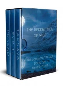 The Redemption of Wist Boxed Set: Books 1 - 3: The complete collection Read online