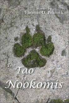 The Tao of Nookomis Read online