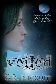 Veiled Read online