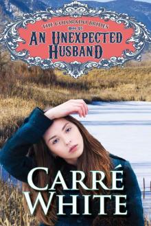 An Unexpected Husband (The Colorado Brides Series) Read online