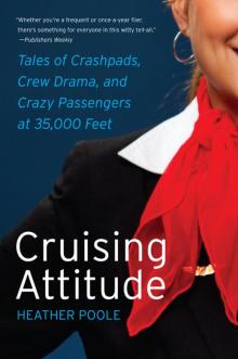 Cruising Attitude Read online