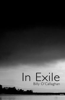 In Exile Read online