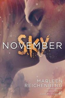 November Sky Read online