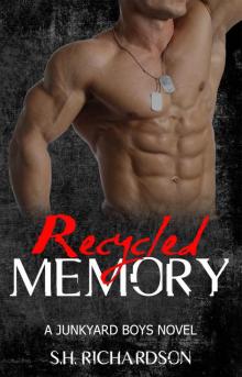 RECYCLED MEMORY Read online