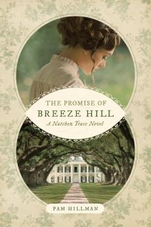 The Promise of Breeze Hill Read online