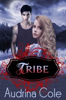Tribe (Tribe 1) Read online