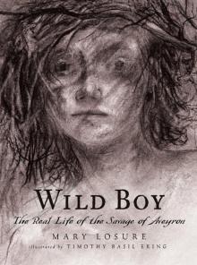 Wild Boy Read online