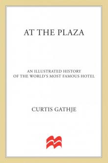 At the Plaza Read online