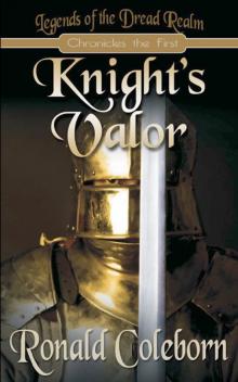 Knight's Valor Read online