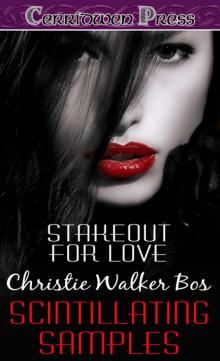 Stakeout For Love Read online