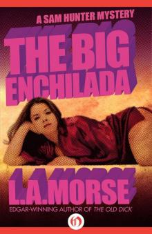 The Big Enchilada (A Sam Hunter Mystery Book 1) Read online