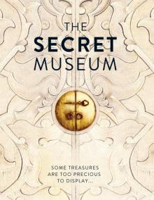 The Secret Museum Read online