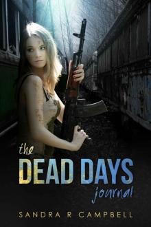 The Dead Days Journal: Volume 1 Read online