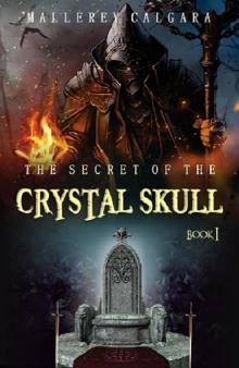The Secret Of The Crystal Skull Read online