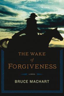 The Wake of Forgiveness Read online
