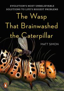 The Wasp That Brainwashed the Caterpillar Read online