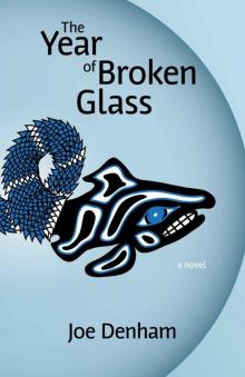 The Year of Broken Glass Read online