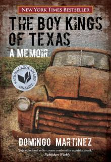 Boy Kings of Texas Read online
