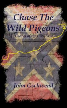 Chase The Wild Pigeons Read online