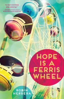Hope Is a Ferris Wheel Read online