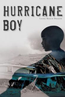 Hurricane Boy Read online